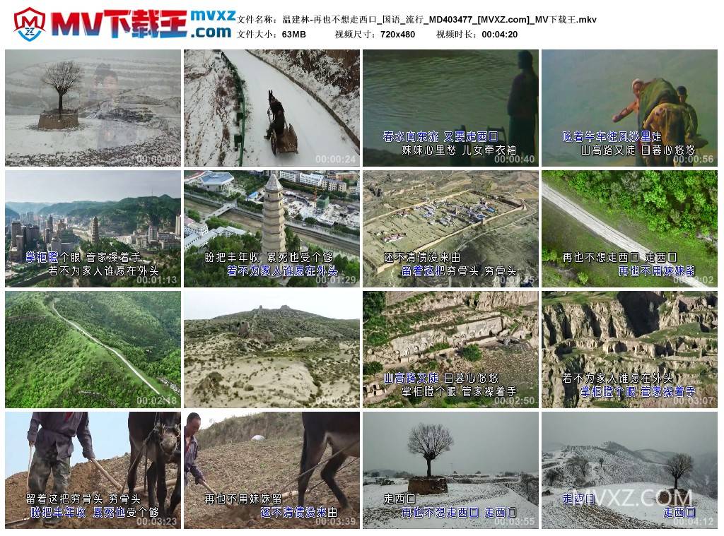 温建林-再也不想走西口_国语_流行_MD403477